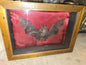 Taxidermie chauve-souris