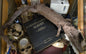Taxidermie vintage petit crocodile