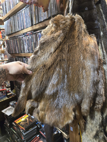 Peaux de castor du Québec