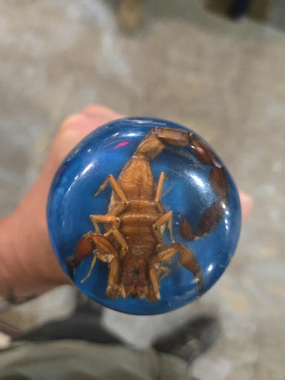 Canne en os avec un scorpion au pommeau.