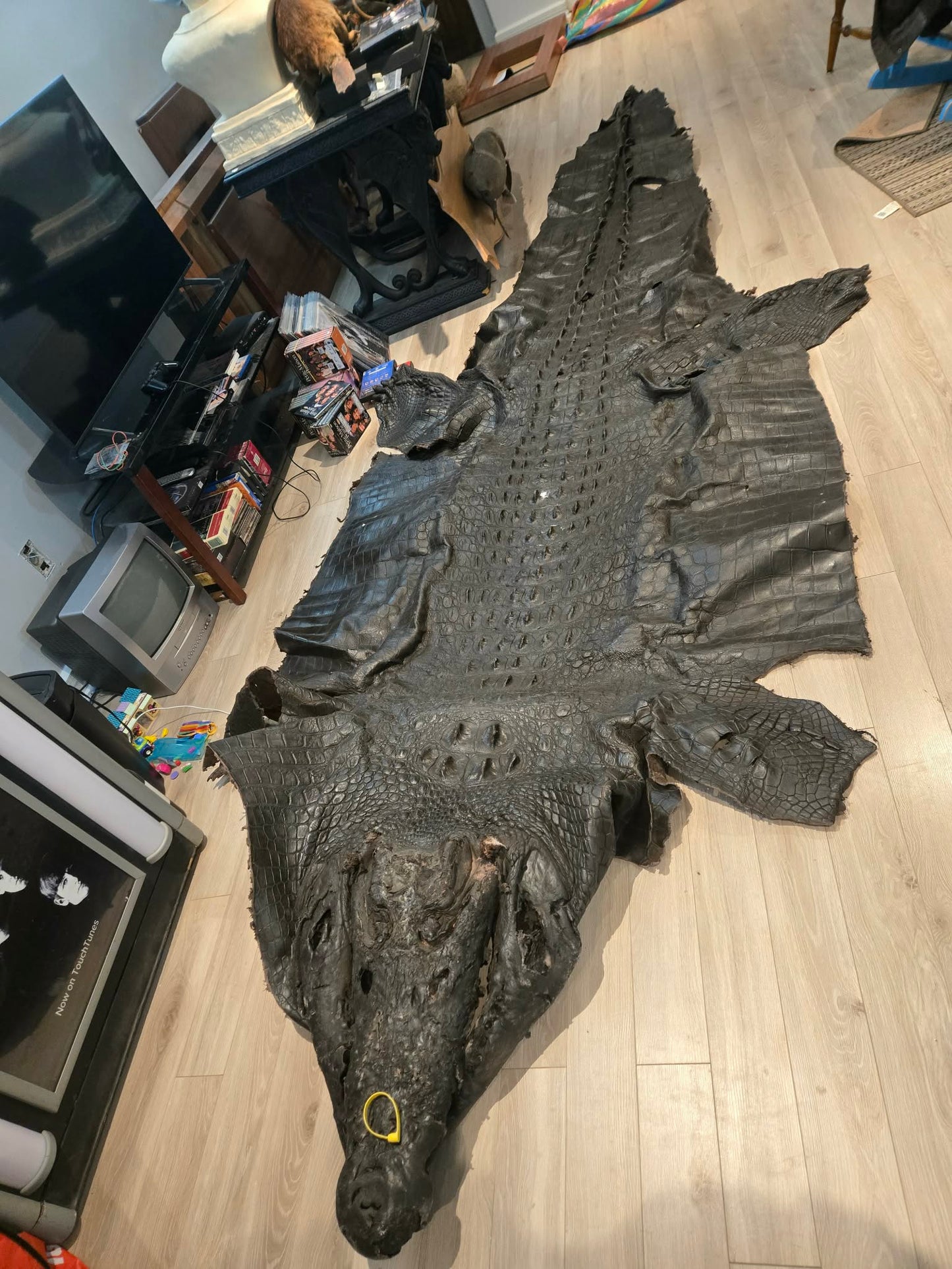 Grande peau de crocodile vintage