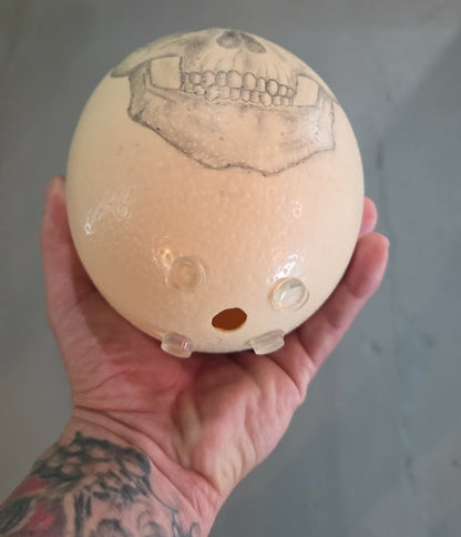 Crâne dessiné sur un oeuf d'autruche