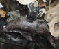 Bougeoir dauphin vintage en laiton