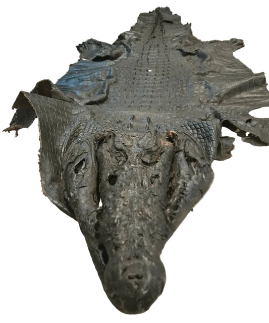 Grande peau de crocodile vintage