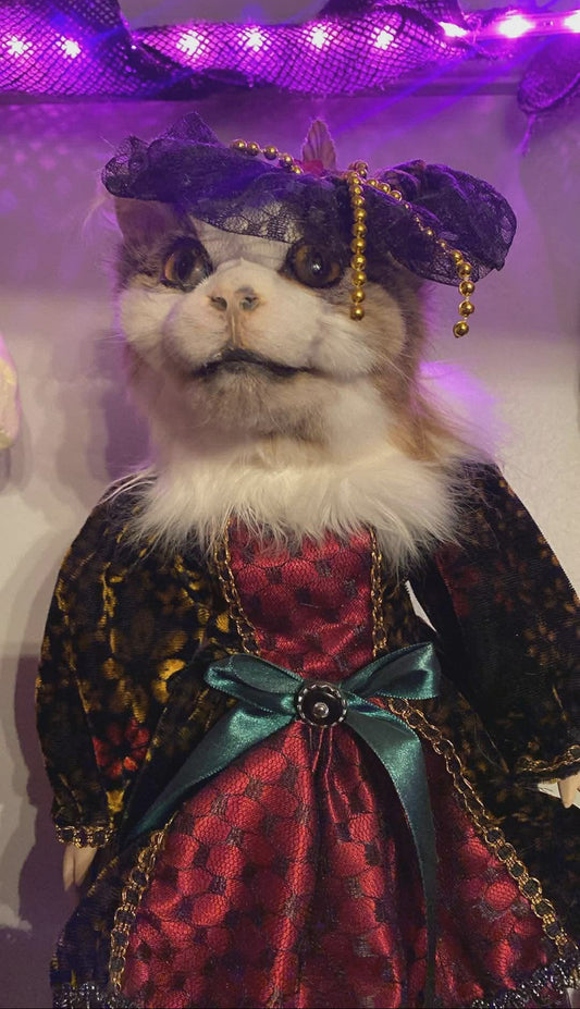 Taxidermie tête de chat sur corps de poupée vintage