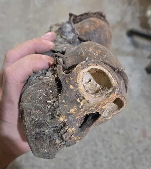 Fétiche vaudou du Cameroun