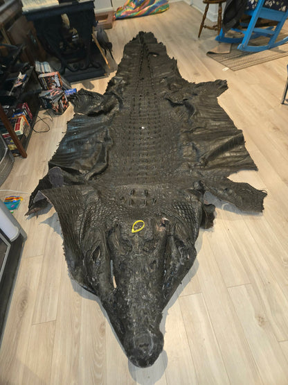 Grande peau de crocodile vintage