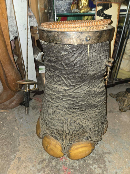 Patte d'éléphant antique naturalisée convertie en pot / panier.