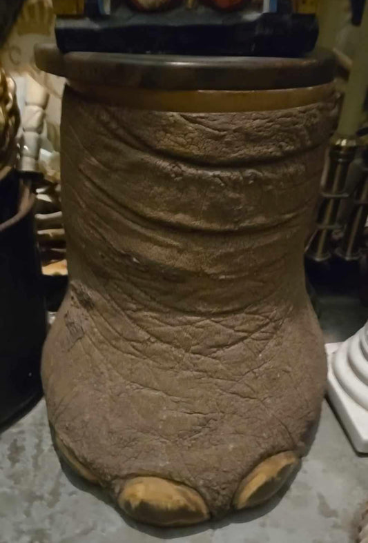Patte d'éléphant antique naturalisée convertie en pot