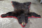 Taxidermie peau d'ours complète