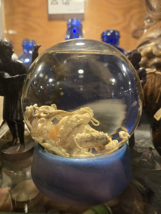 Poulpe naturalisée dans un globe de formol.