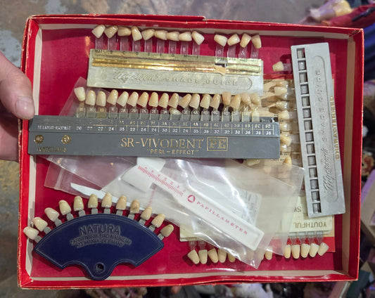 Coffret vintage de teintiers dentaires