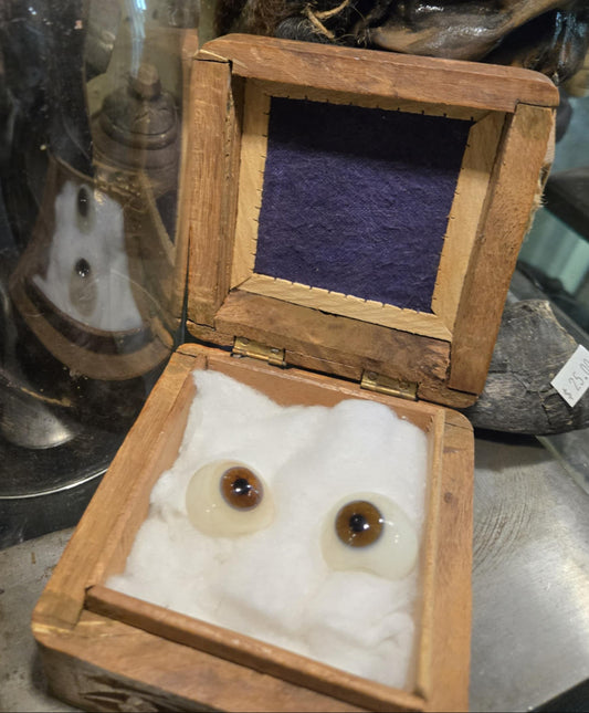 Paire de yeux de vitre antiques