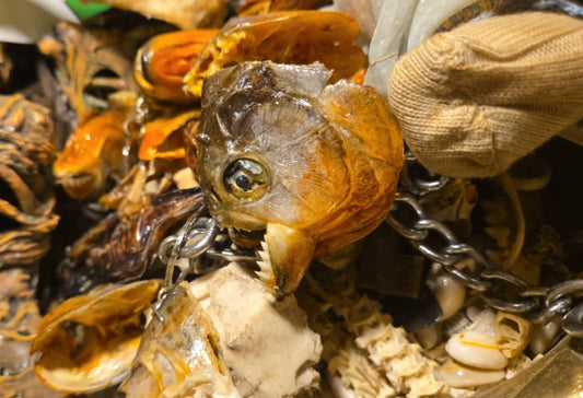Porte-clés à tête de petit piranha