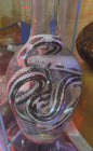 Wet specimen serpent roi de Californie