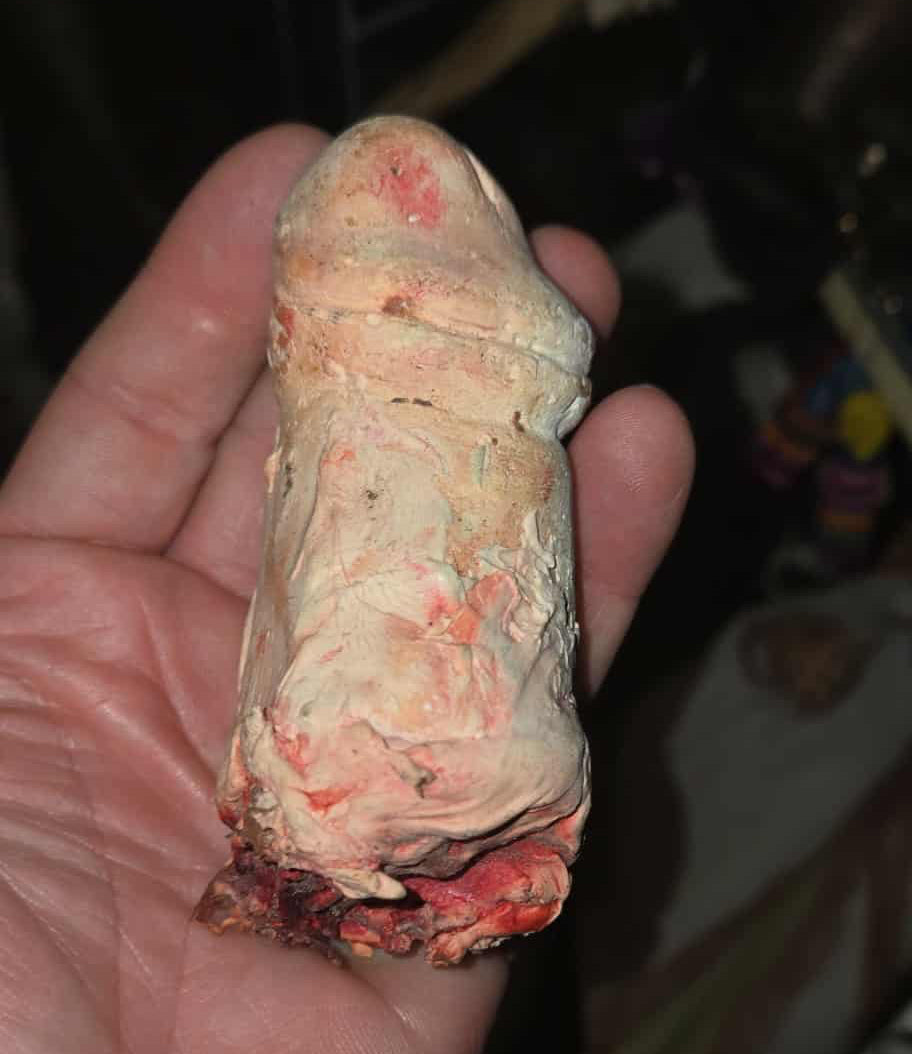 Phallus en plâtre par un artiste