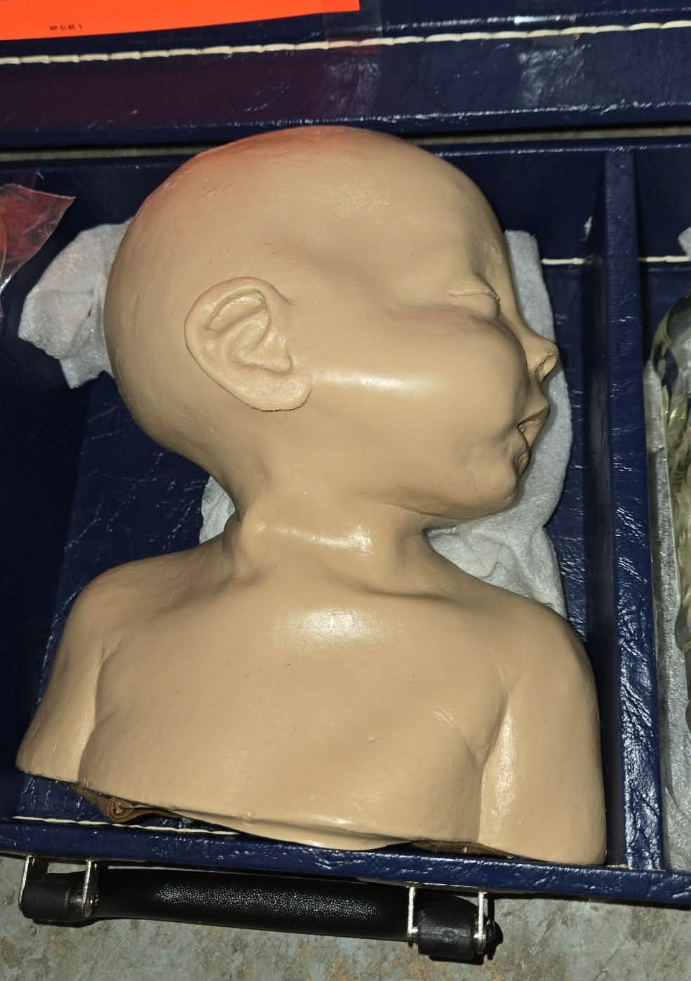 Pediatric Injectable Training Head Simulator.