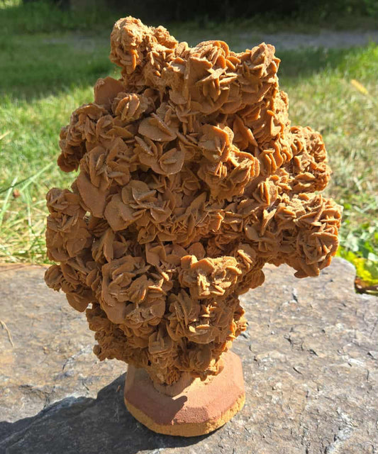 Grande rose des sables