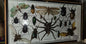 Grande collection d'insectes naturalisés encadrée avec tarentule.
