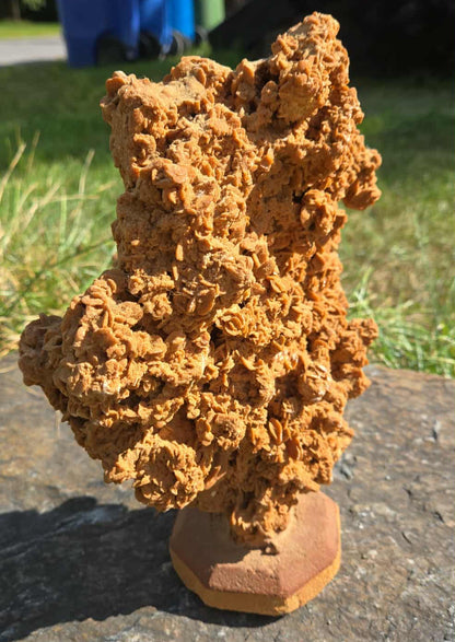 Grande rose des sables