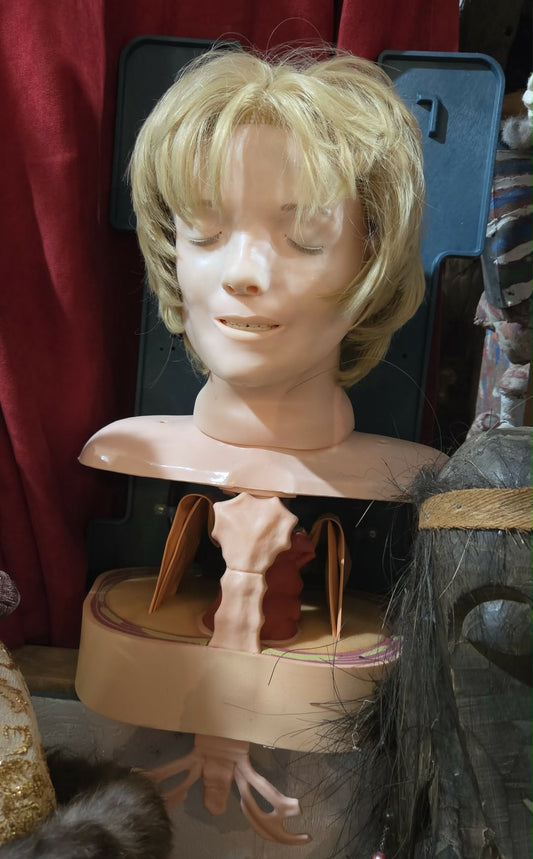 Buste d'entrainement vintage "Anatomic Anne" de Laerdal