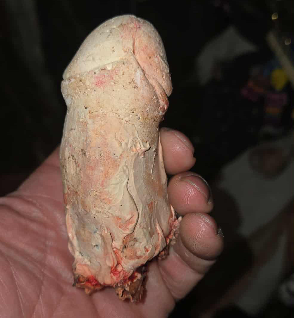 Phallus en plâtre par un artiste