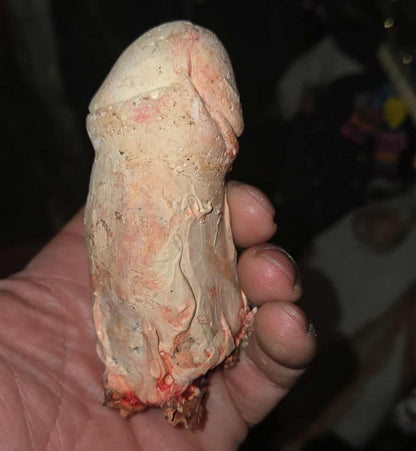 Phallus en plâtre par un artiste