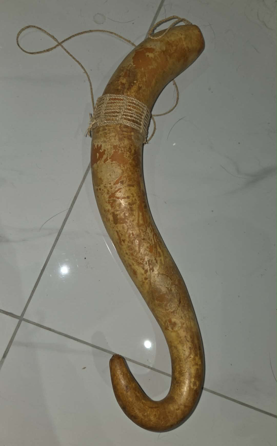 Étui pénien traditionnel / koteka