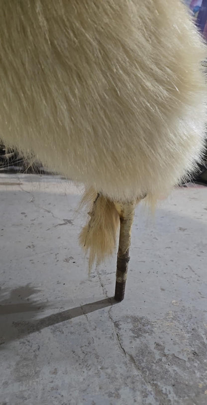Taxidermie ours polaire complet