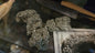 Amas de chalcopyrite naturelle brute